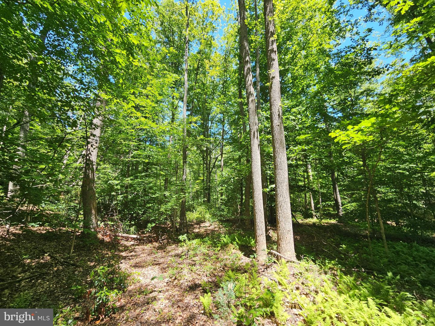 15 Ac Manteo Rd Property Photo 1