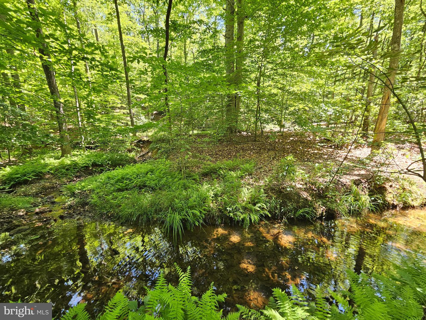 15 Ac Manteo Rd Property Photo 4