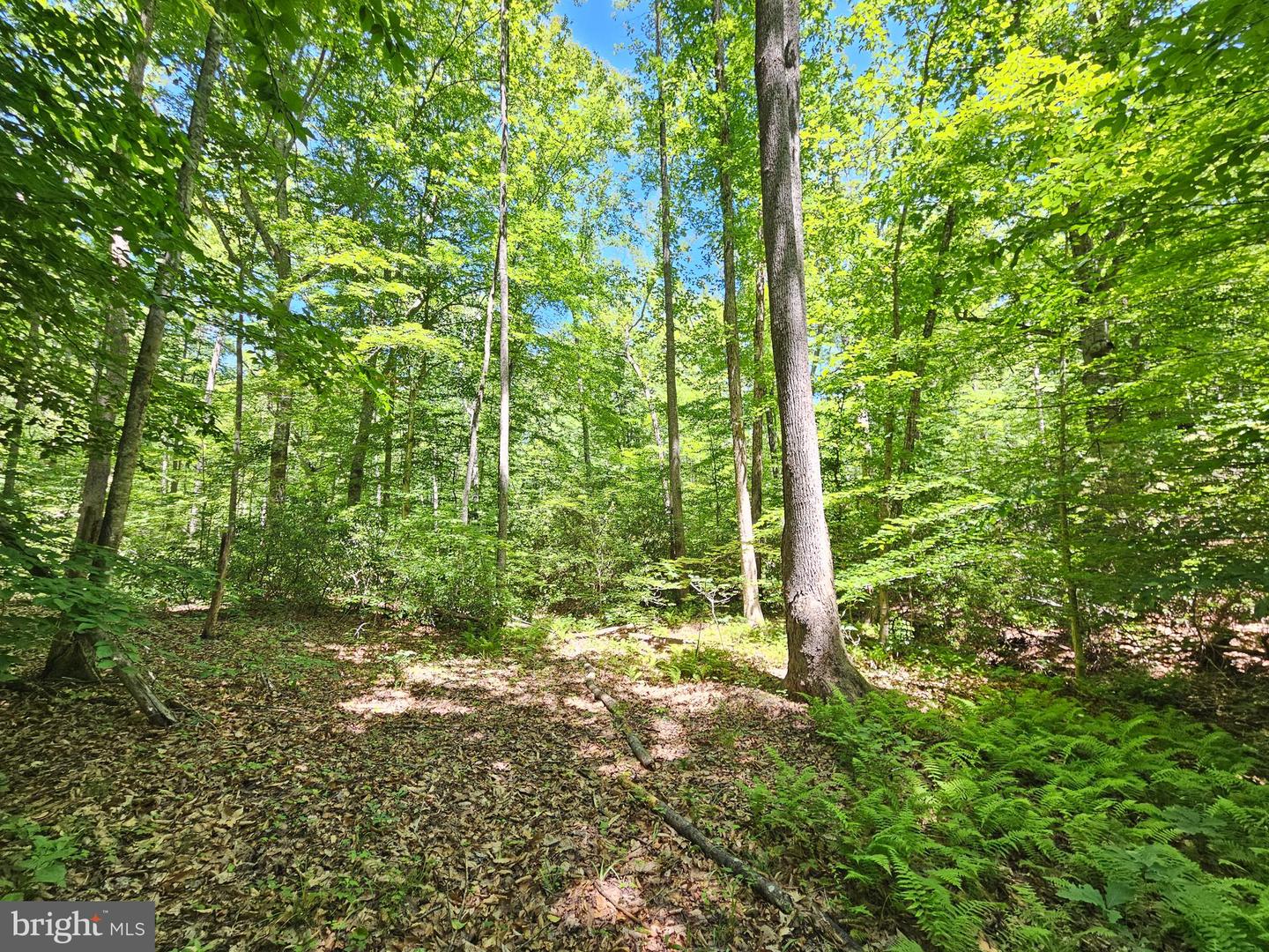 15 Ac Manteo Rd Property Photo 7