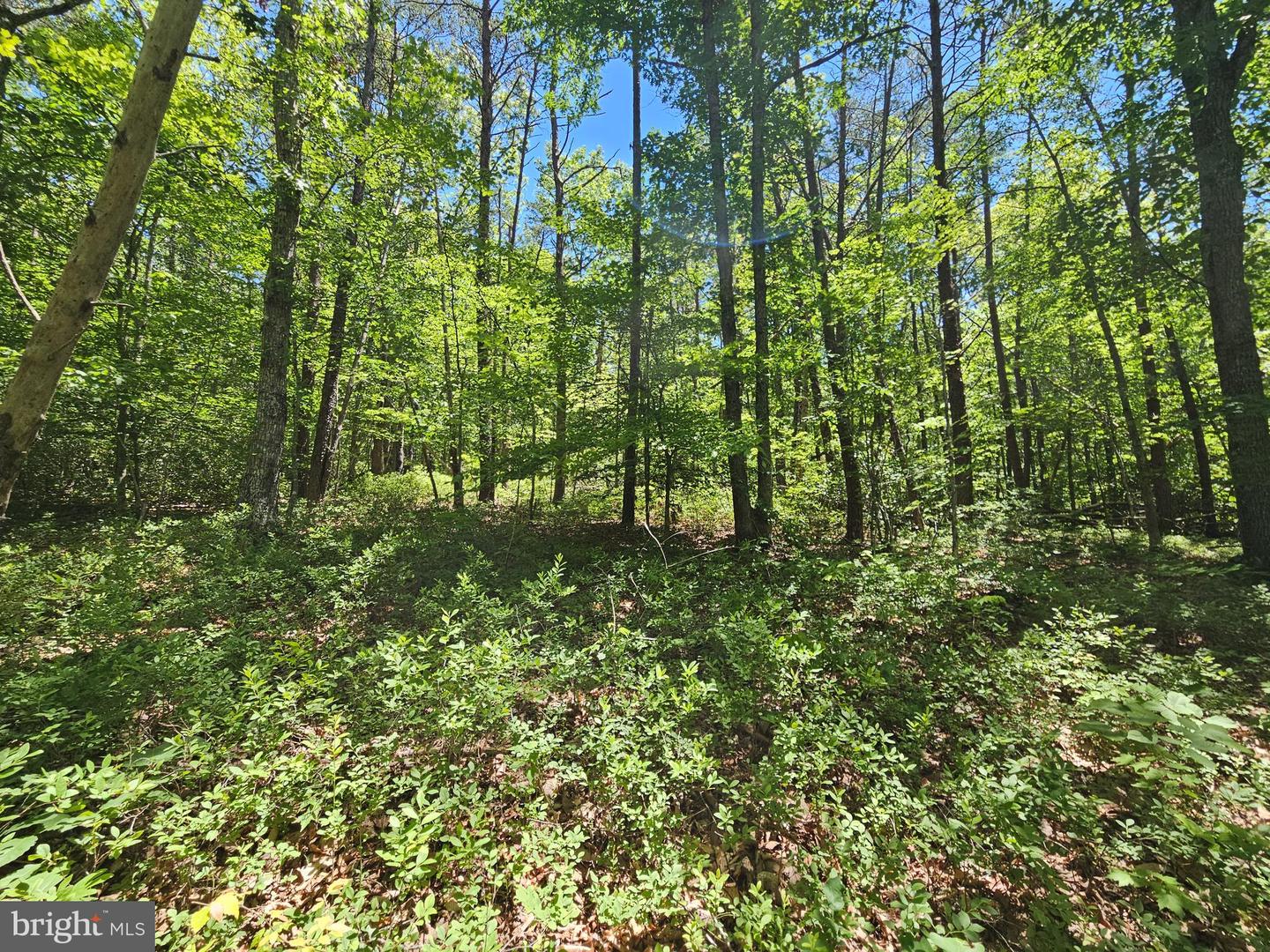 15 Ac Manteo Rd Property Photo 8