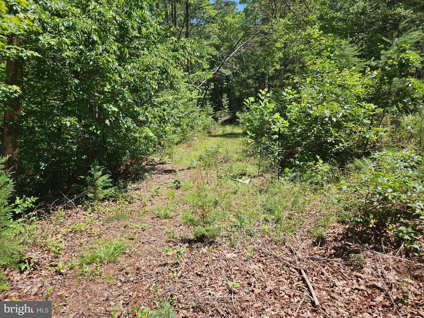 15 Ac Manteo Rd Property Photo 9