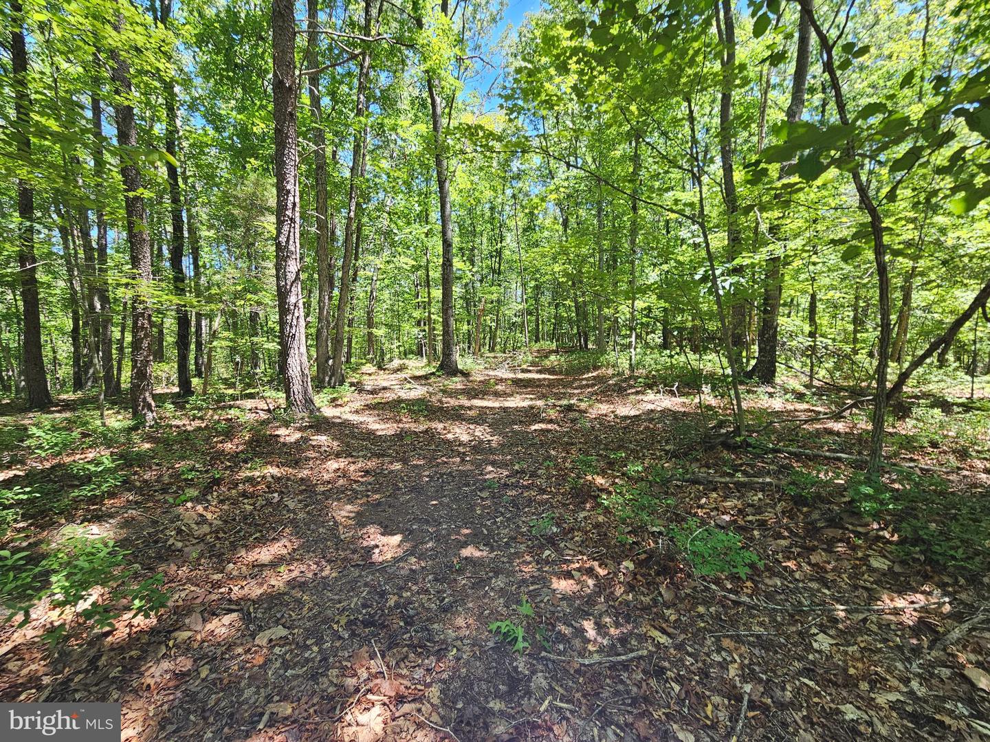 15 Ac Manteo Rd Property Photo 10