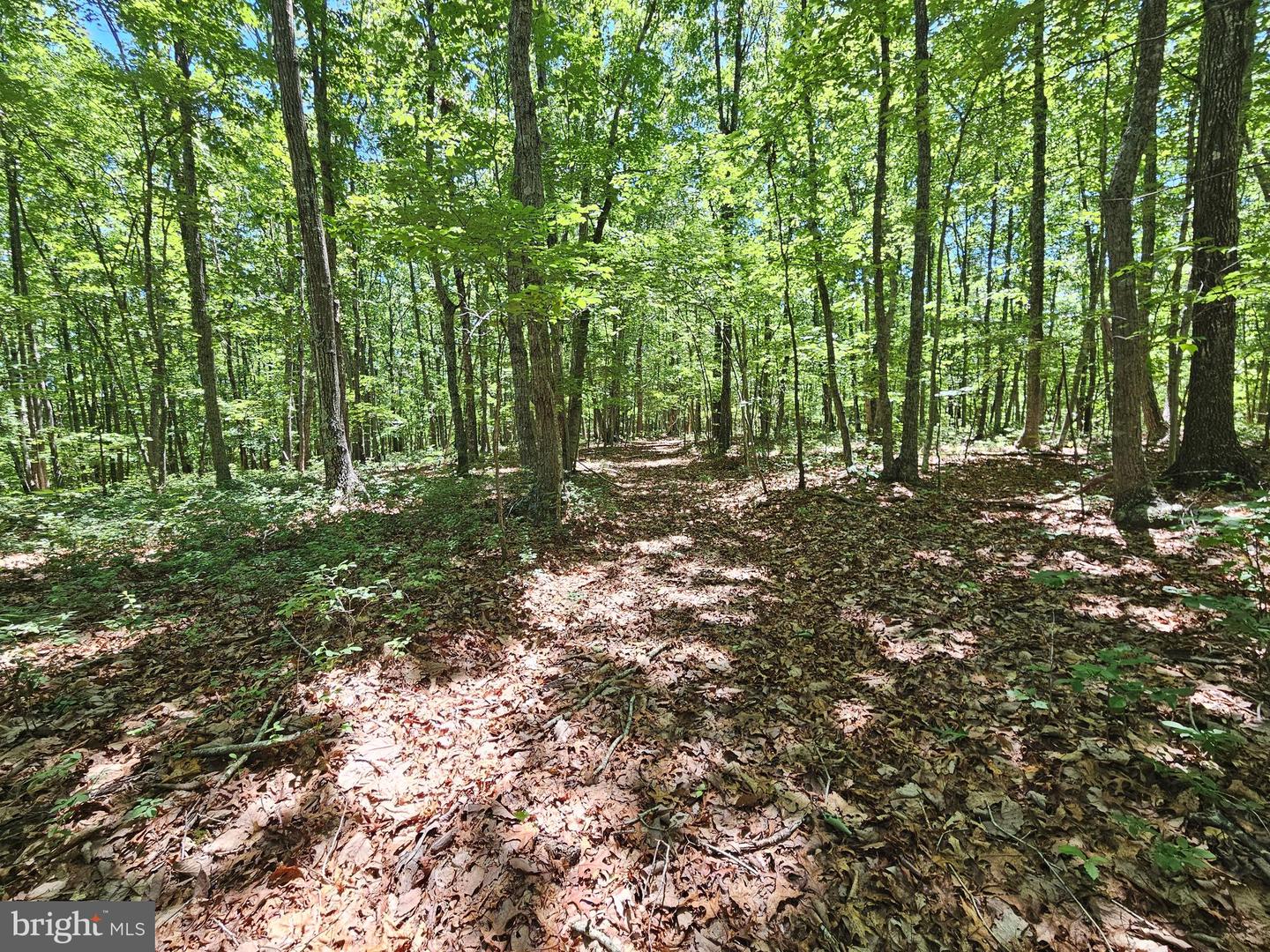 15 Ac Manteo Rd Property Photo 11