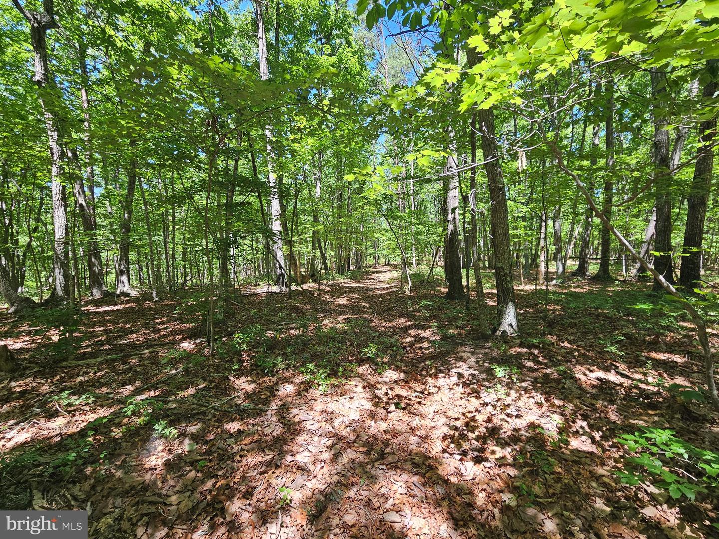 15 Ac Manteo Rd Property Photo 12