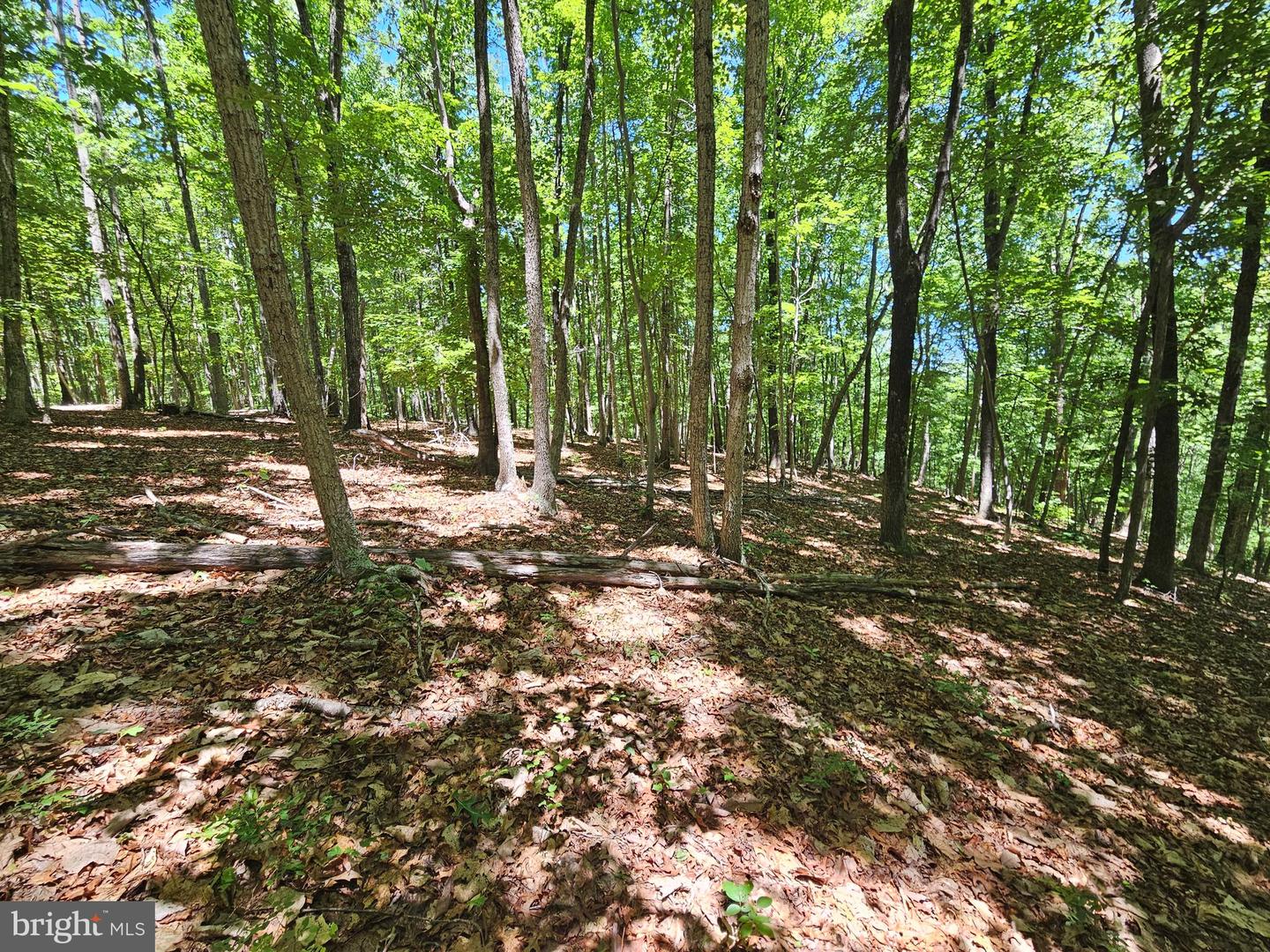 15 Ac Manteo Rd Property Photo 13