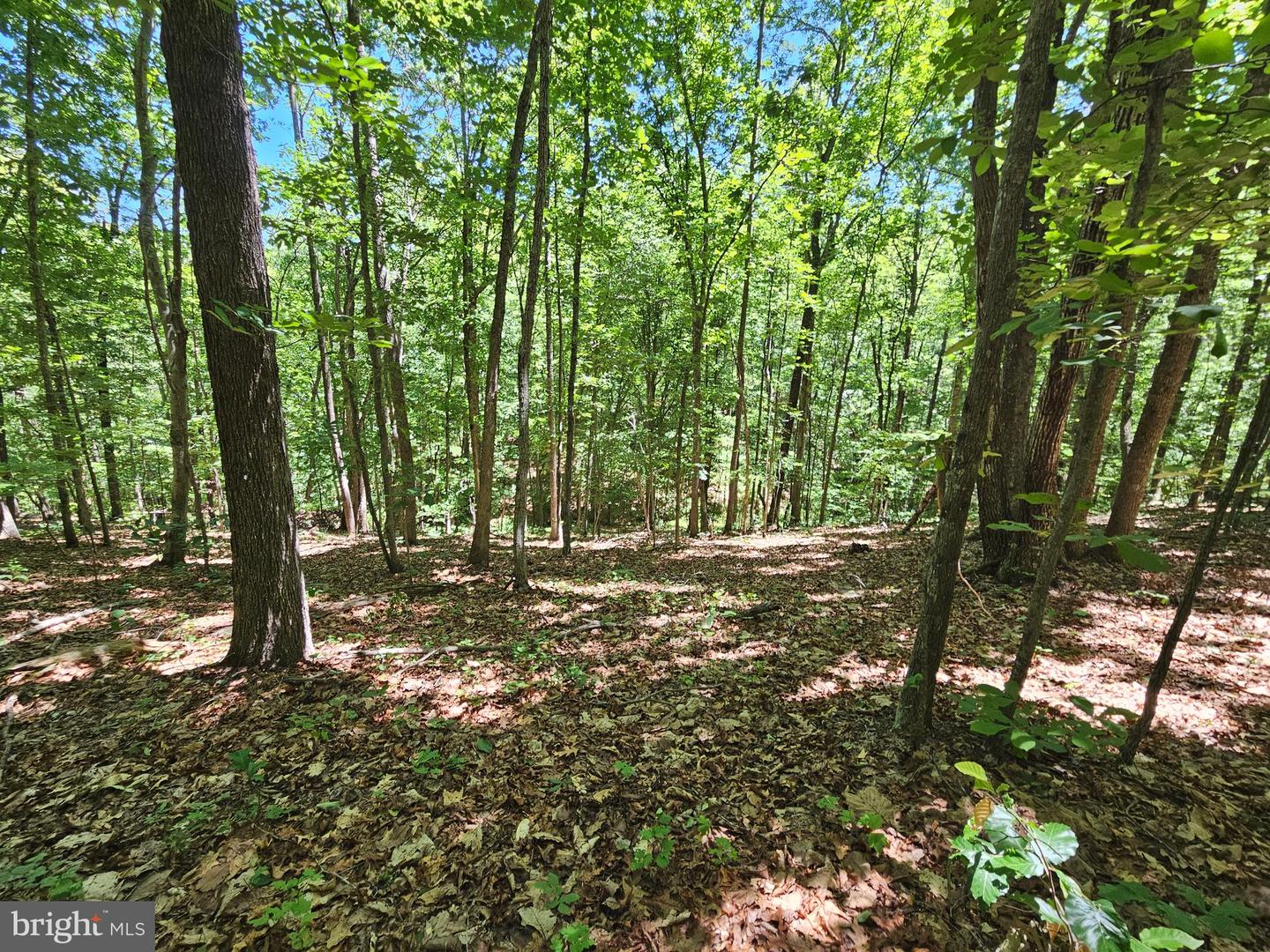 15 Ac Manteo Rd Property Photo 14