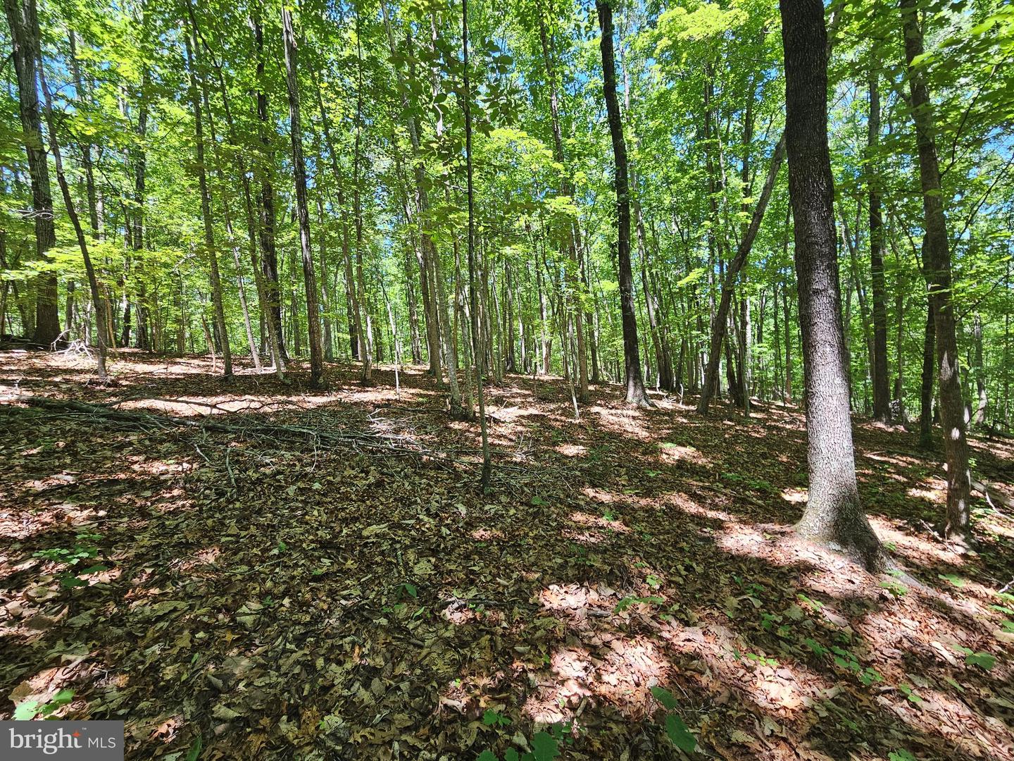 15 Ac Manteo Rd Property Photo 15