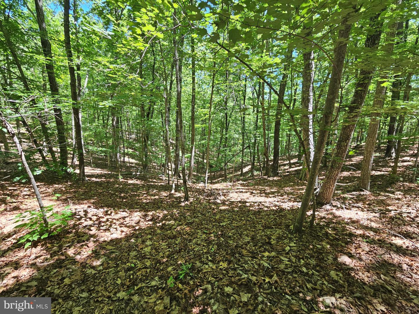 15 Ac Manteo Rd Property Photo 16
