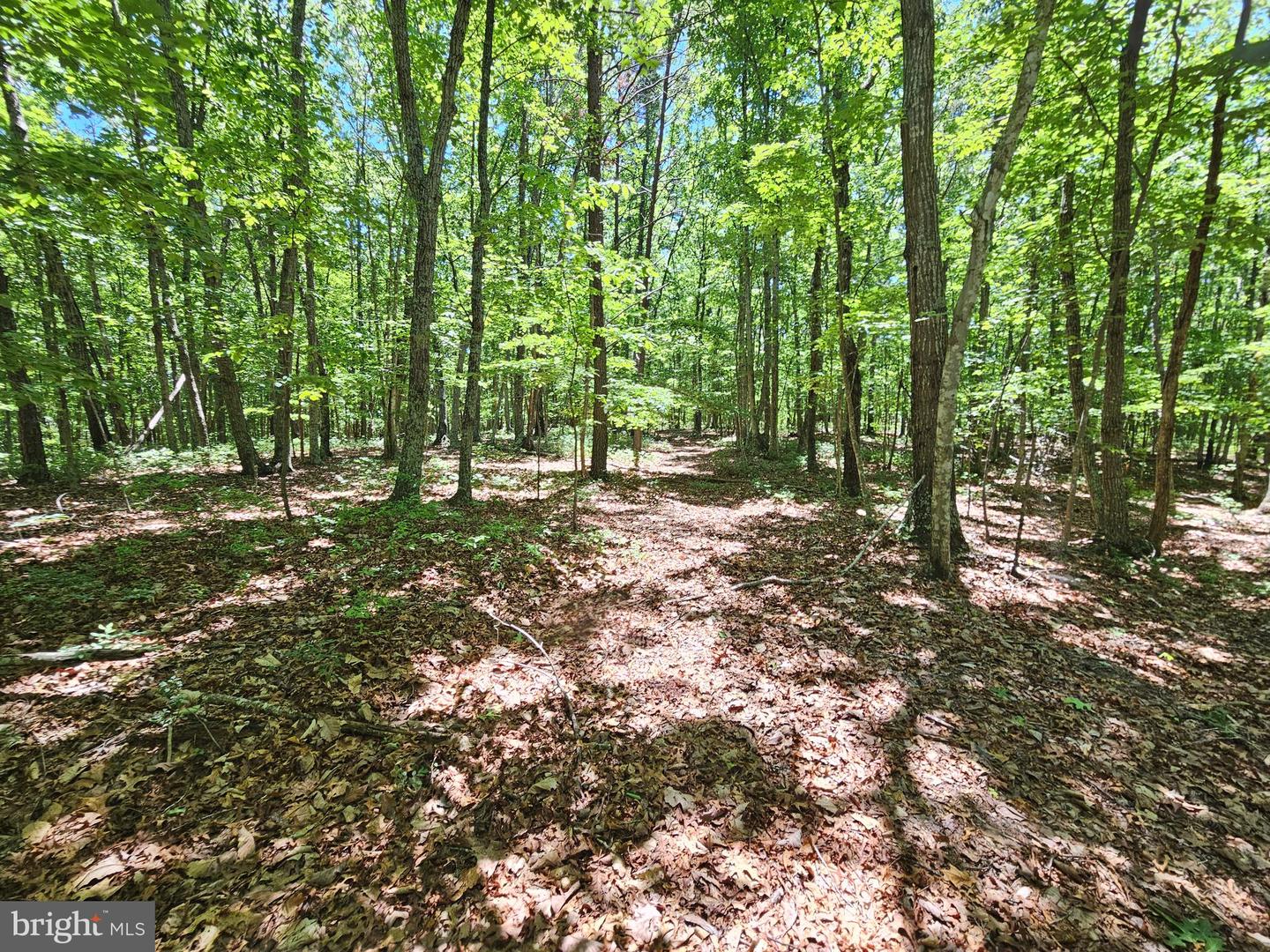 15 Ac Manteo Rd Property Photo 17