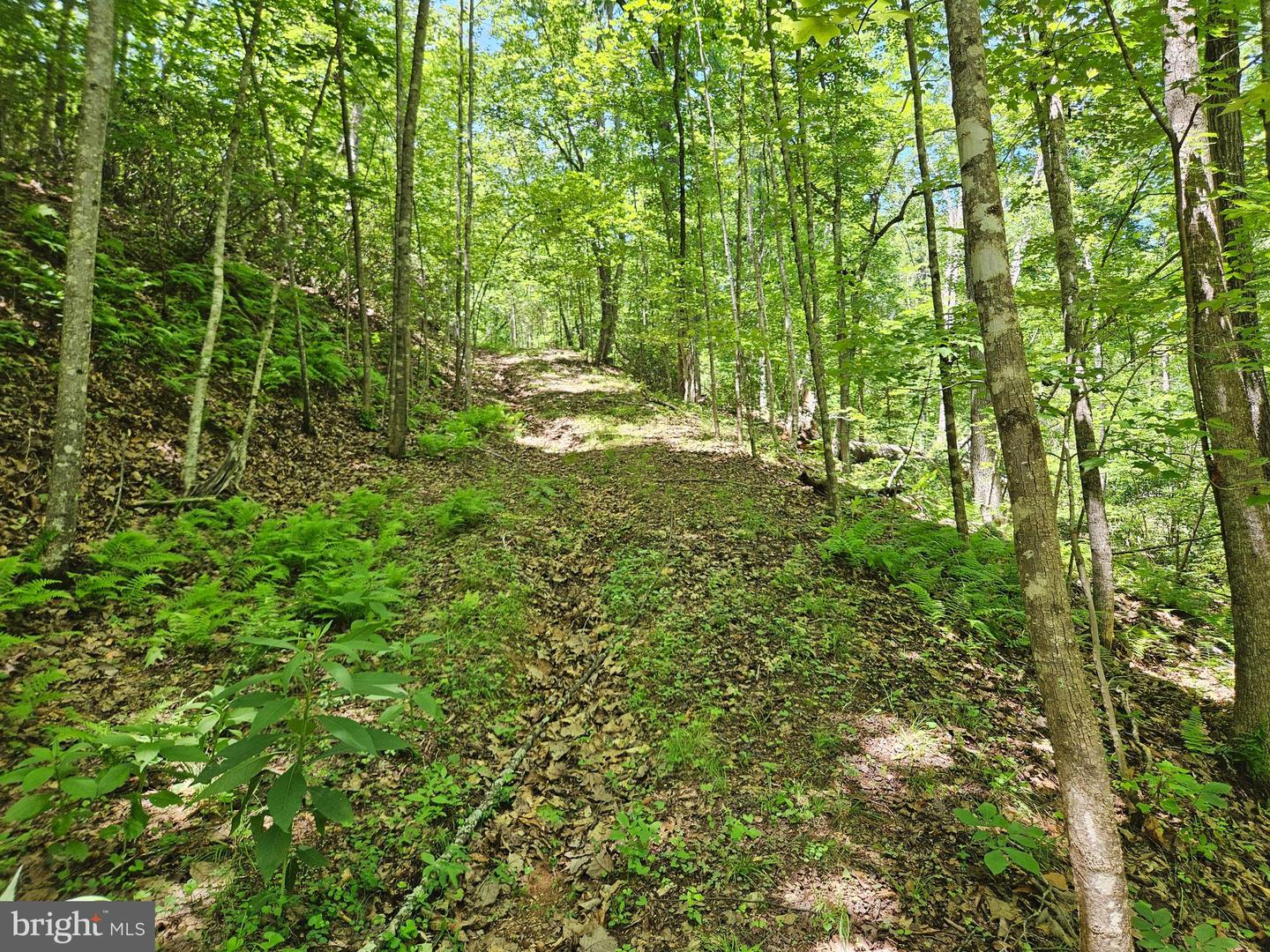 15 Ac Manteo Rd Property Photo 18