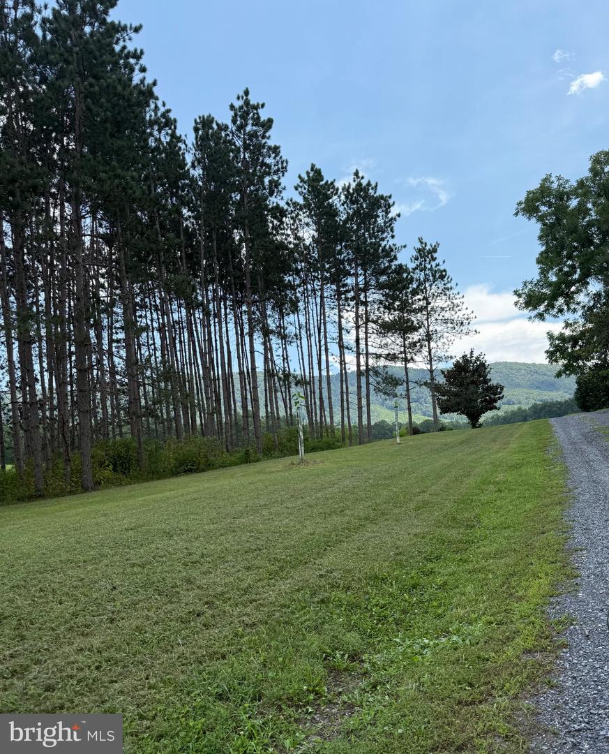 33940 Mountain Valley Rd Property Photo 6