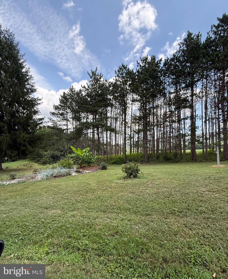 33940 Mountain Valley Rd Property Photo 7