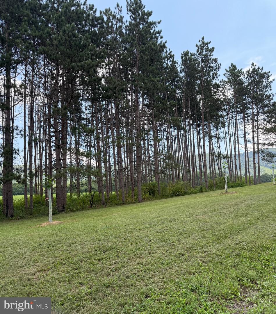 33940 Mountain Valley Rd Property Photo 15
