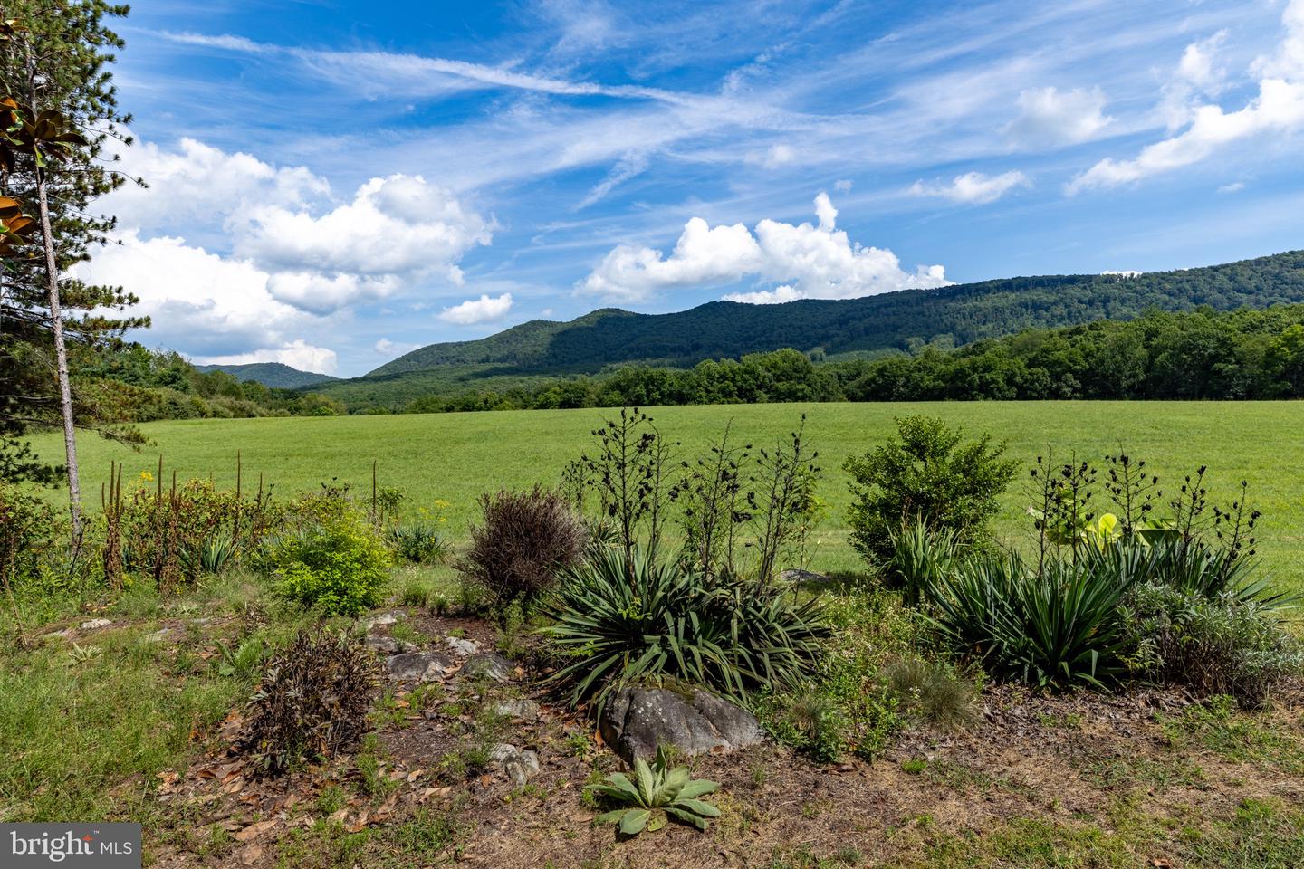 33940 Mountain Valley Rd Property Photo 34