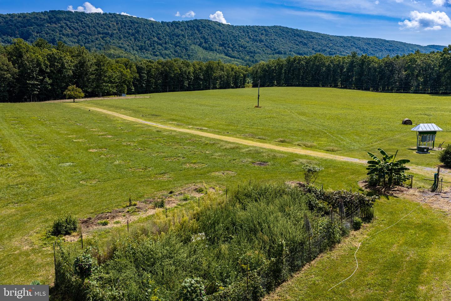 33940 Mountain Valley Rd Property Photo 40