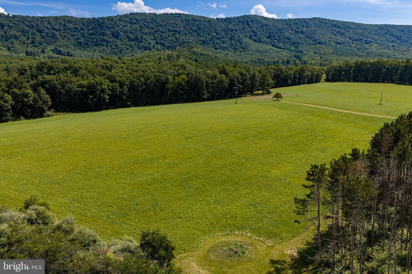 33940 Mountain Valley Rd Property Photo 43