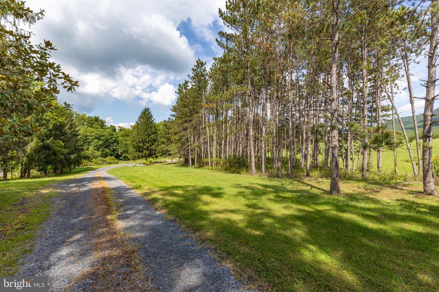 33940 Mountain Valley Rd Property Photo 51