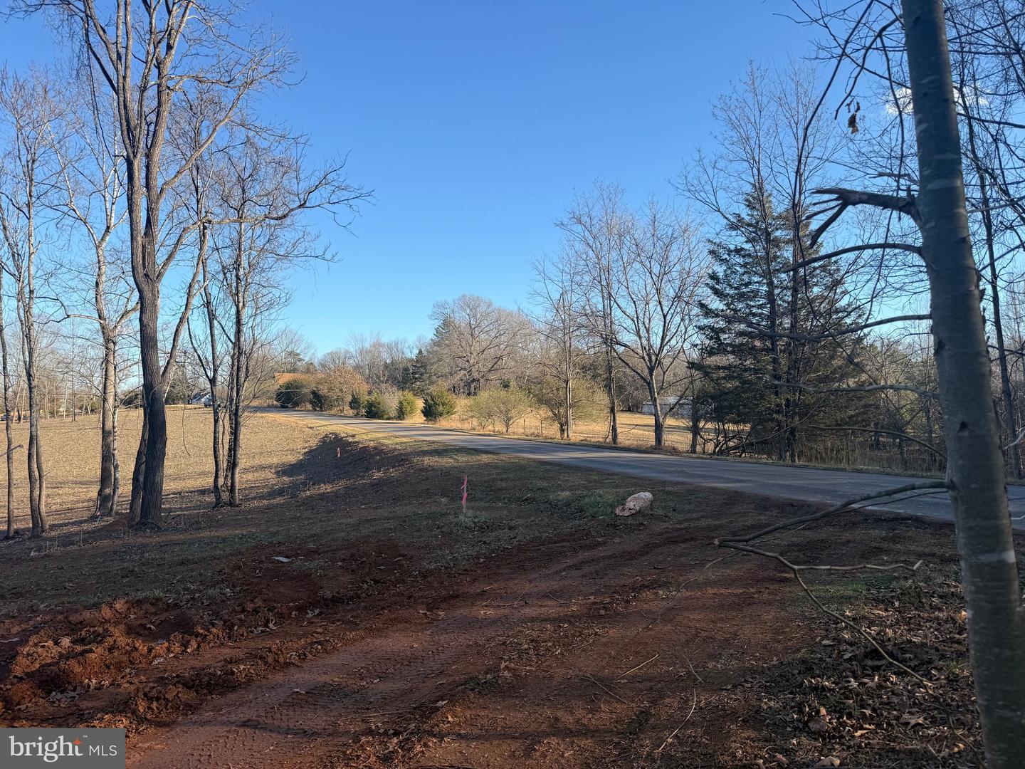 Tbd Wingfield Dr Property Photo 1