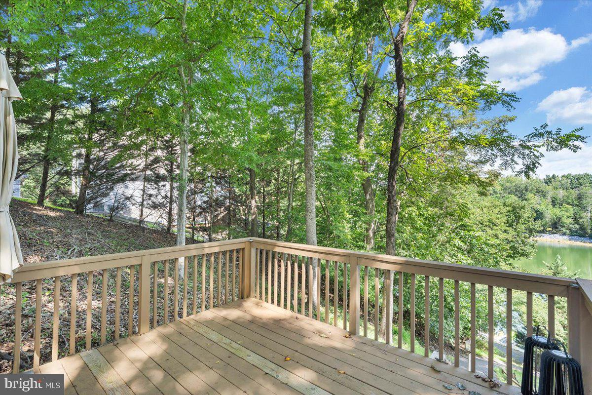 1439 Kaseys Lakeview Drive Property Photo 43