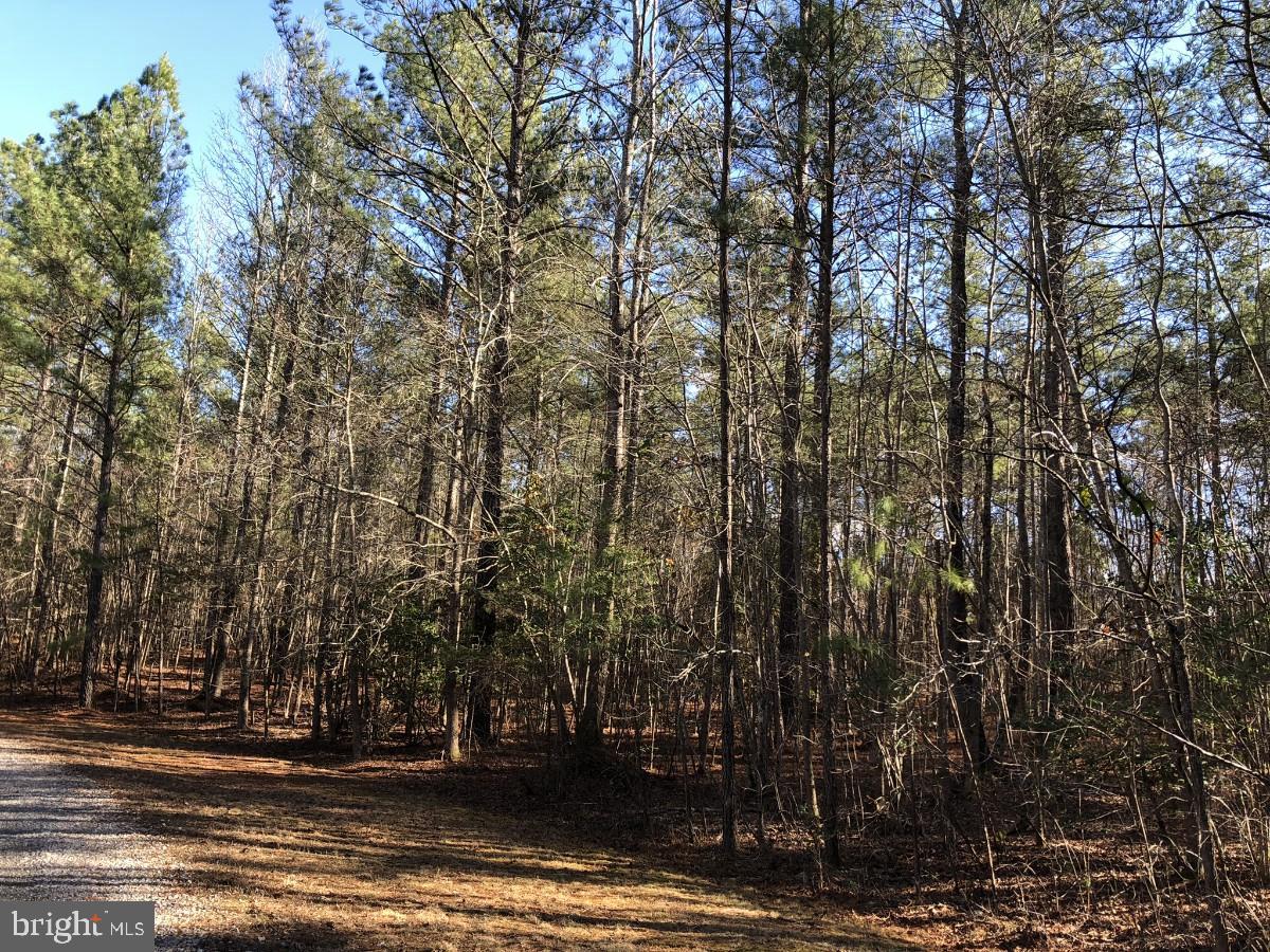 Country Ln Property Photo 14