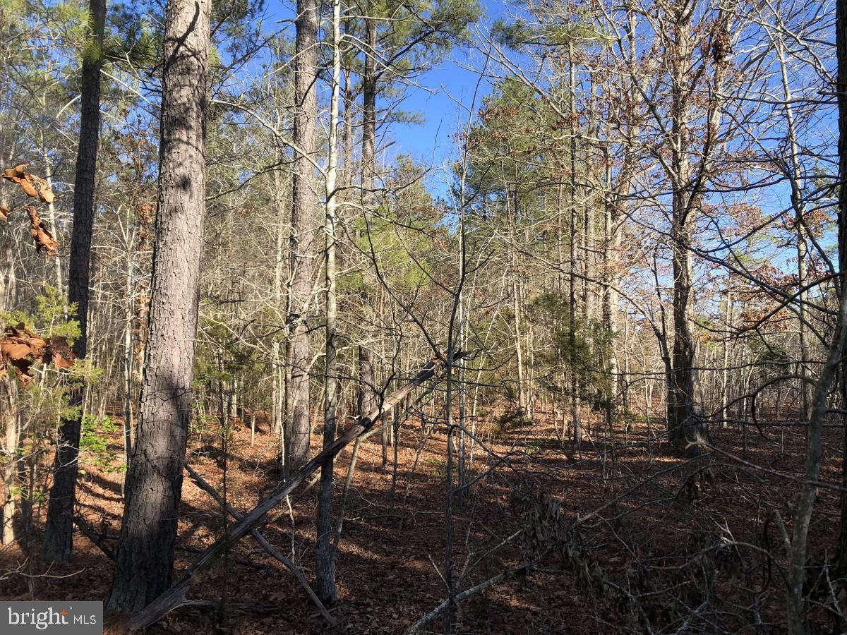 Country Ln Property Photo 16