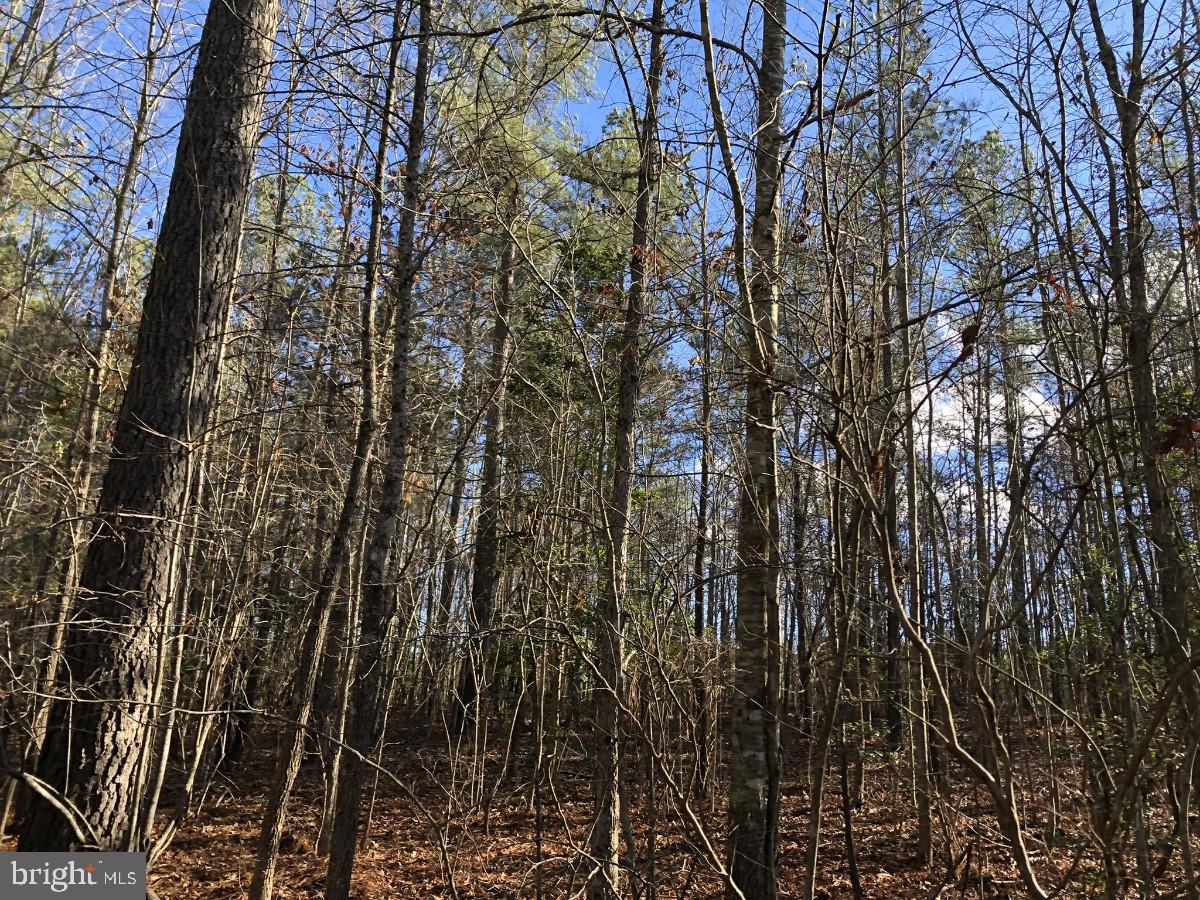Country Ln Property Photo 18