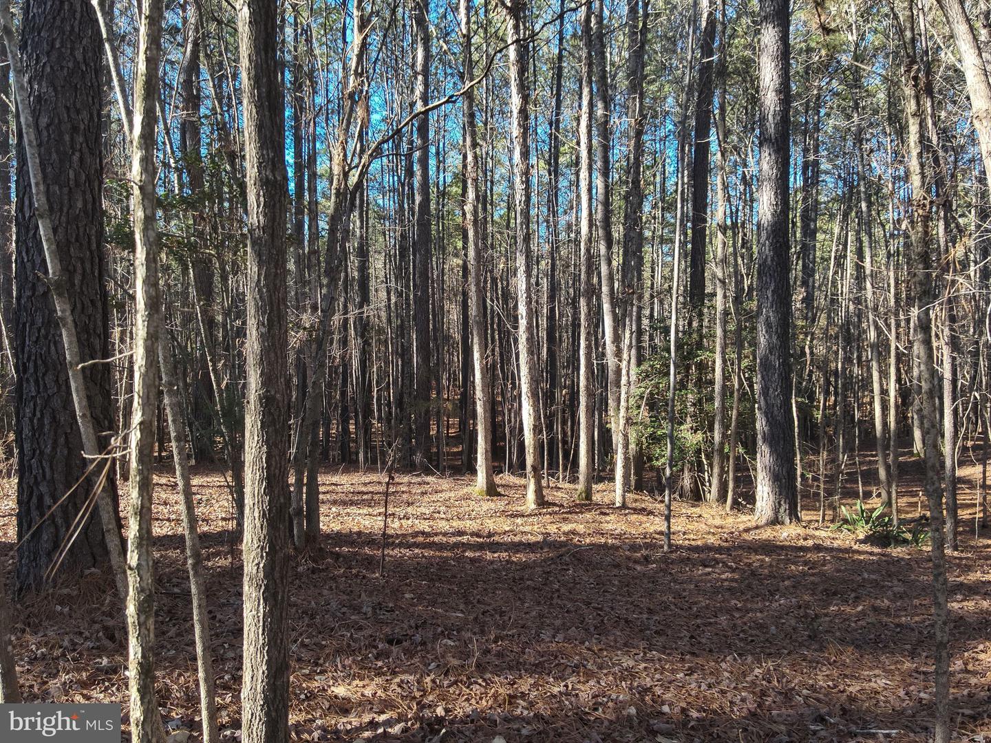 Country Ln Property Photo 13