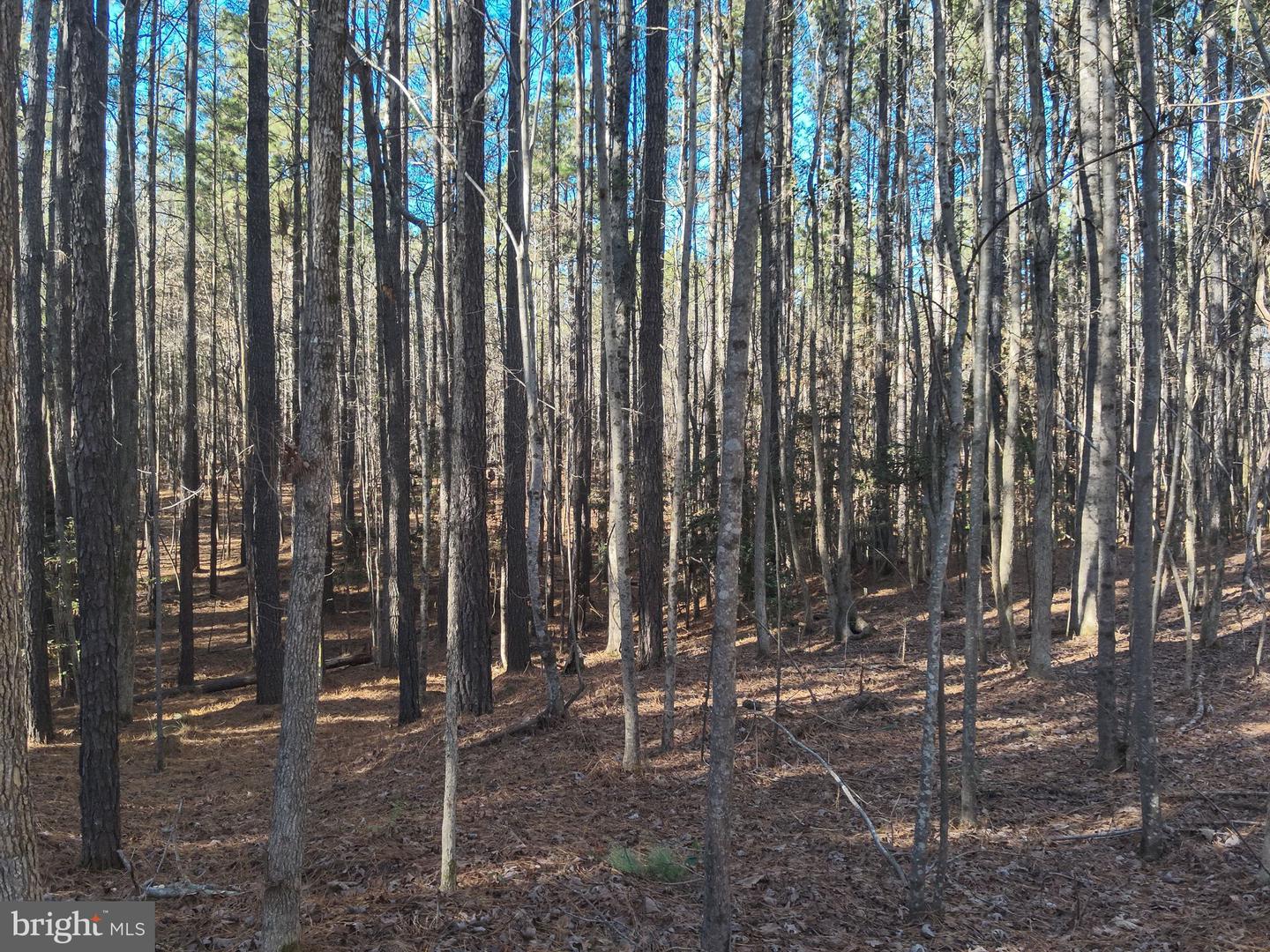 Country Ln Property Photo 14