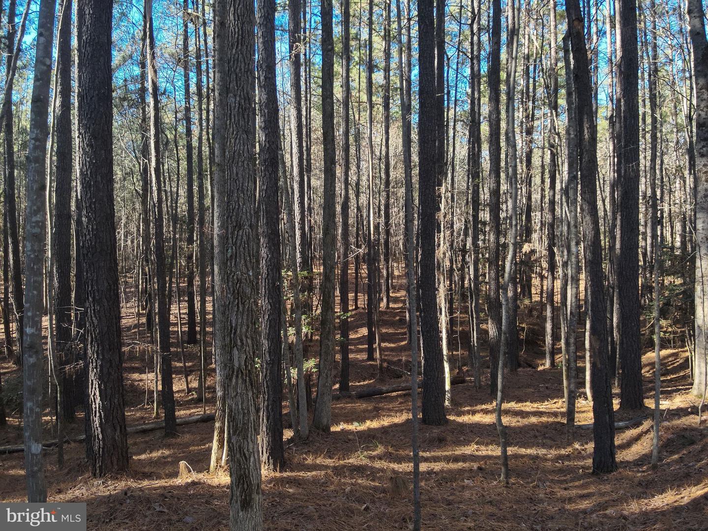 Country Ln Property Photo 15