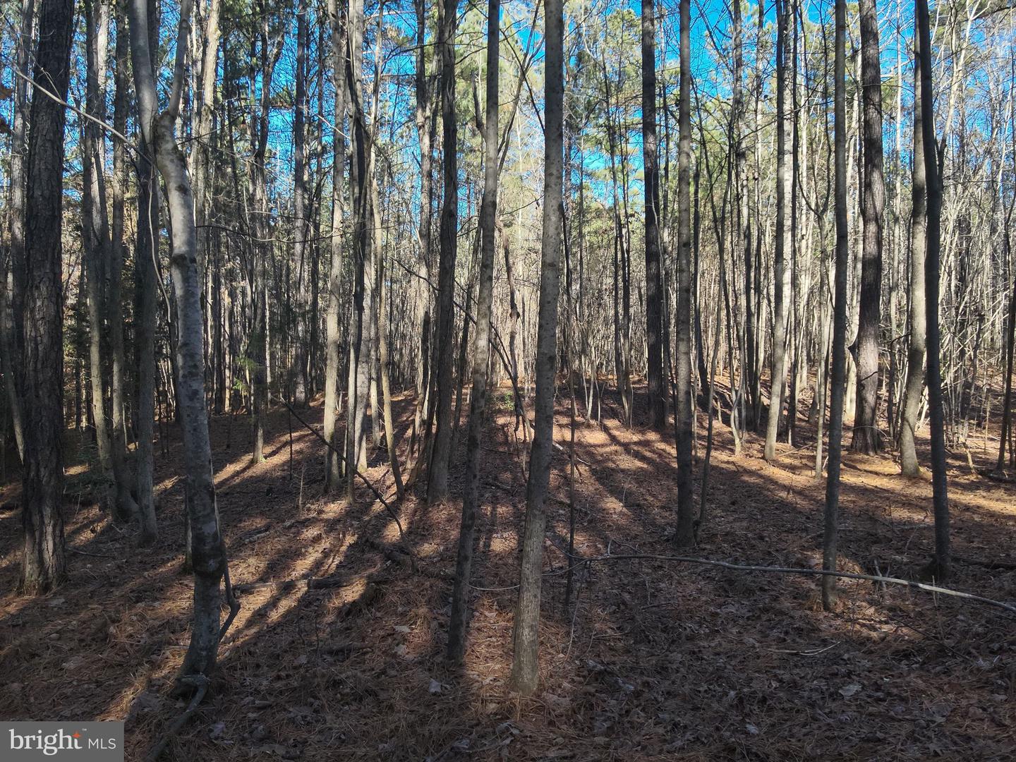 Country Ln Property Photo 16