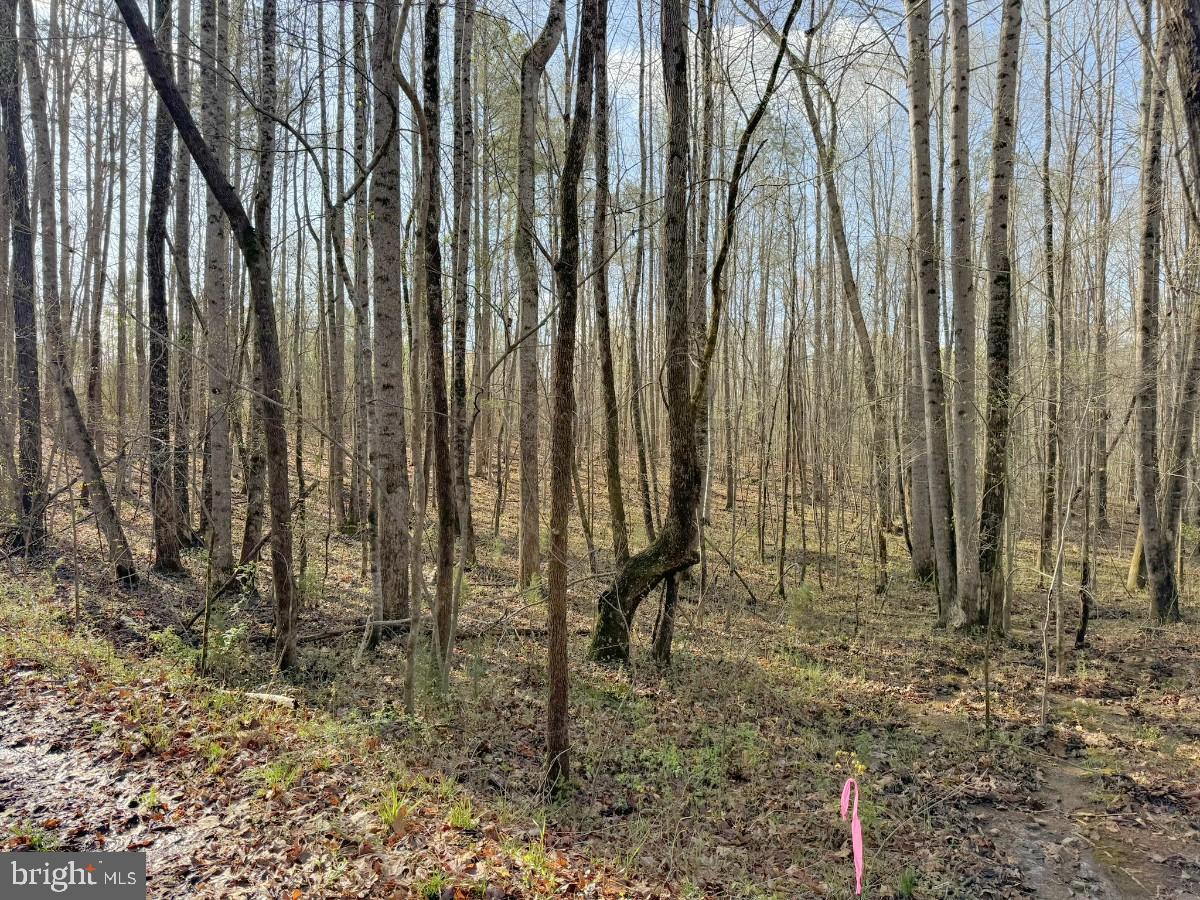 0 Taylor Ln Property Photo 18