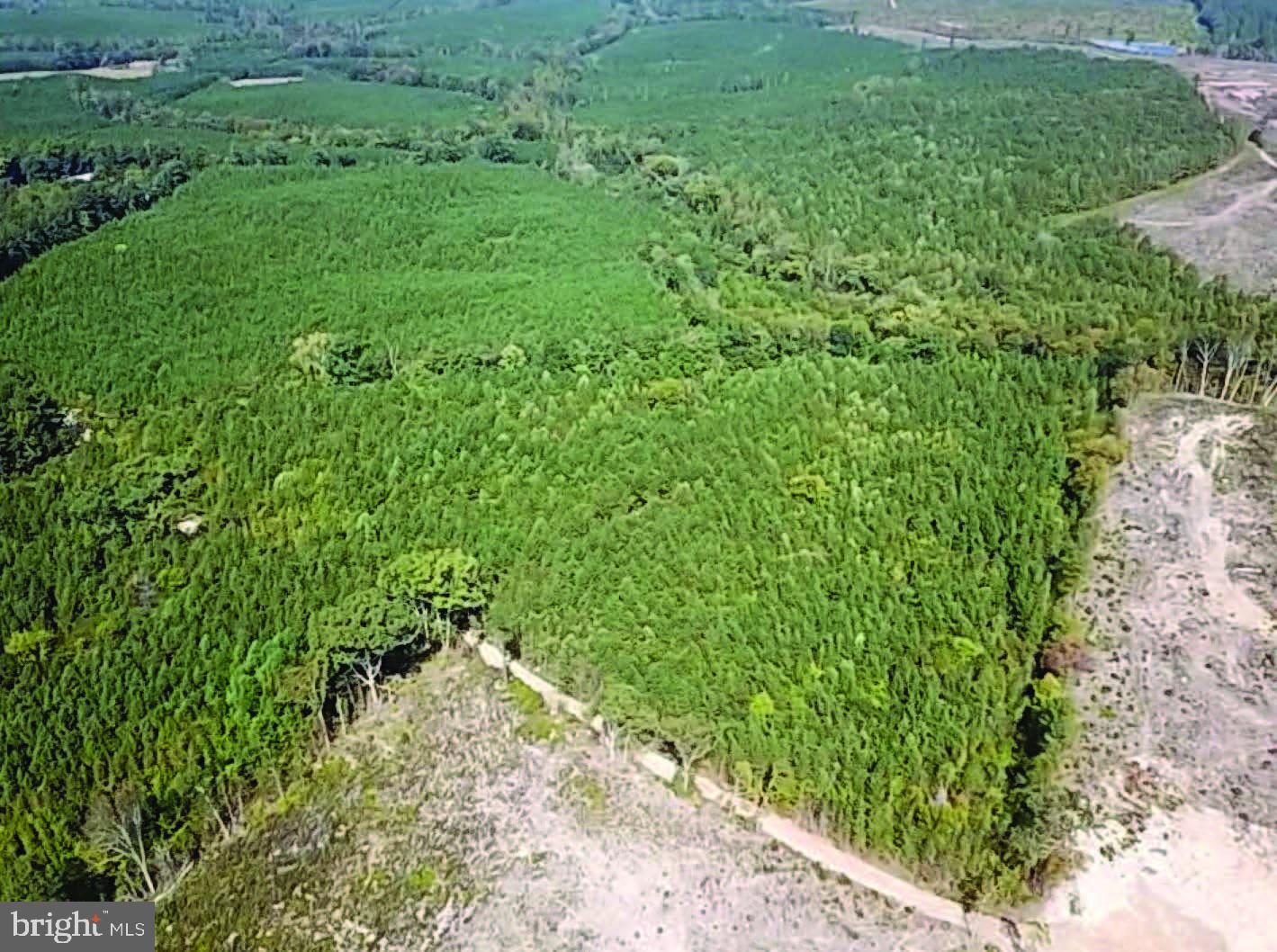 684 Squirrel Hollow Rd Property Photo 1