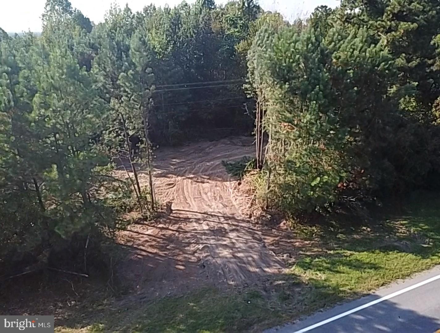 46 Christanna Hwy #10.87 Acres Property Photo 1