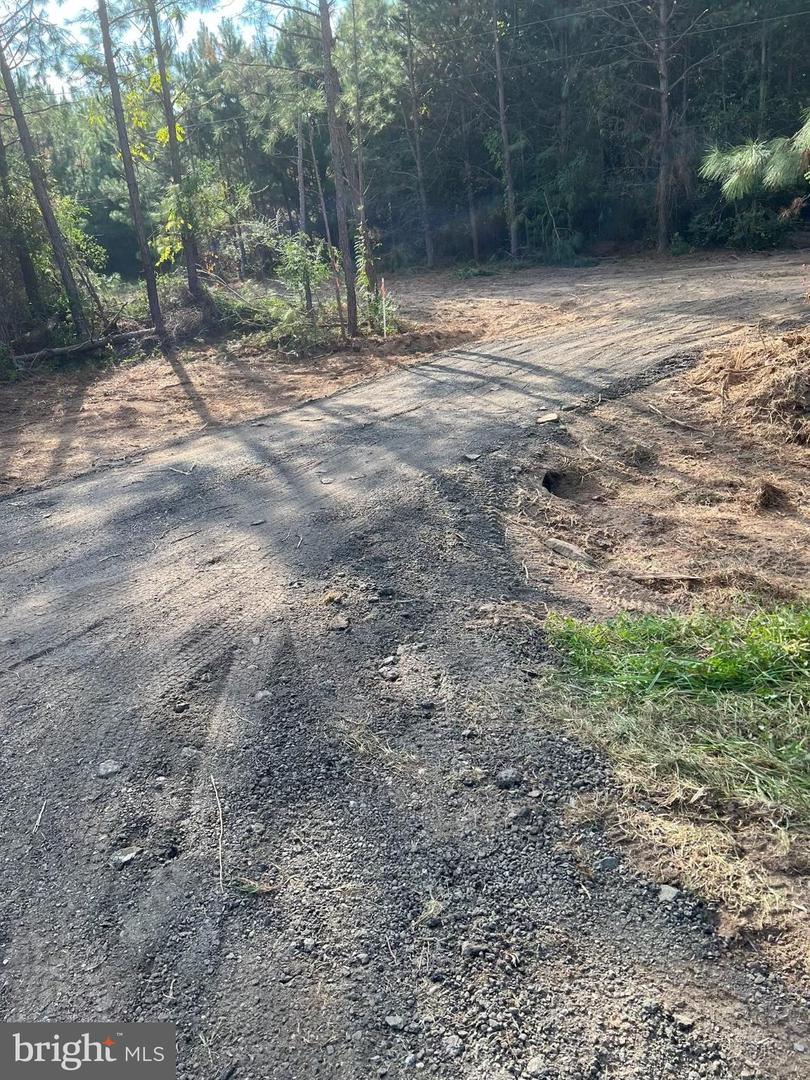 46 Christanna Hwy #10.87 Acres Property Photo 2