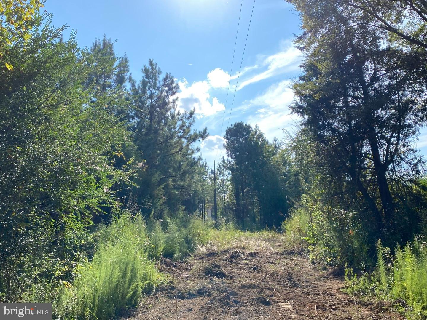 46 Christanna Hwy #10.87 Acres Property Photo 3