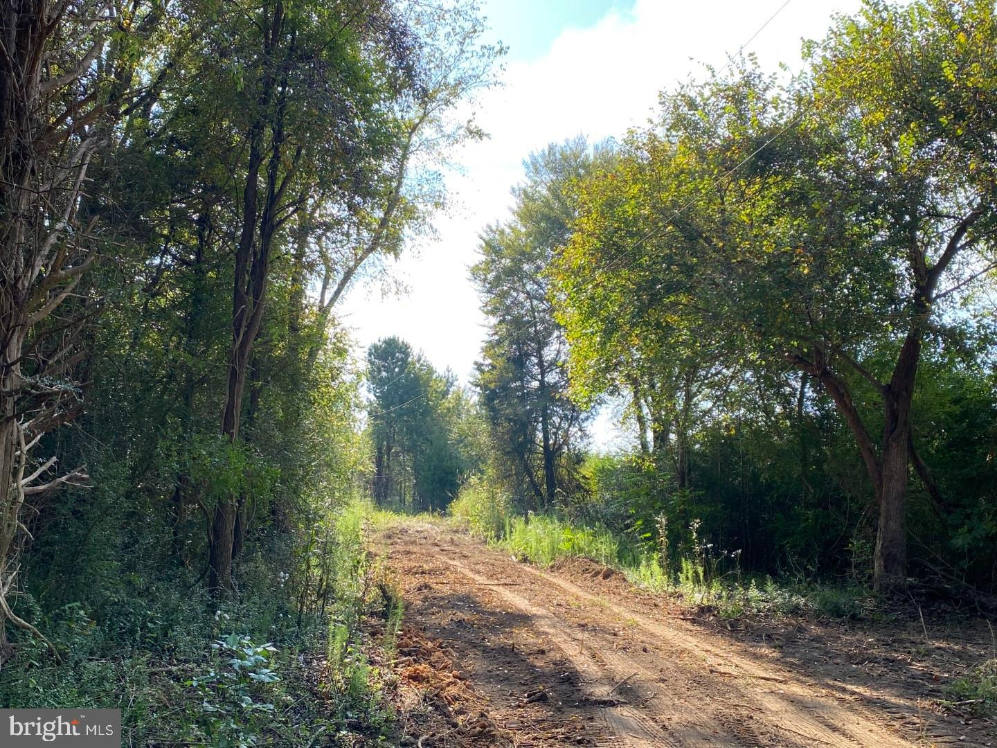 46 Christanna Hwy #10.87 Acres Property Photo 4