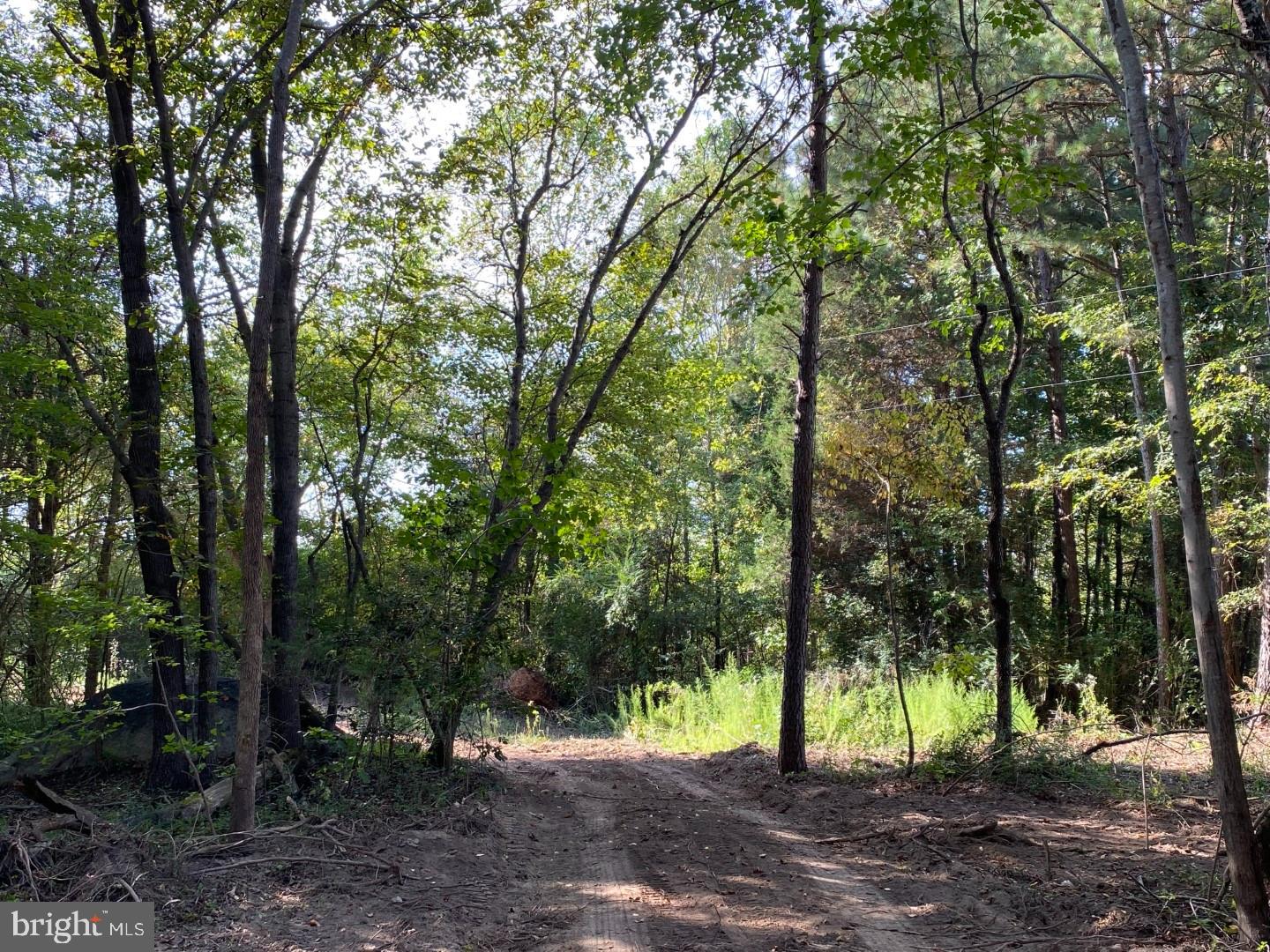 46 Christanna Hwy #10.87 Acres Property Photo 5