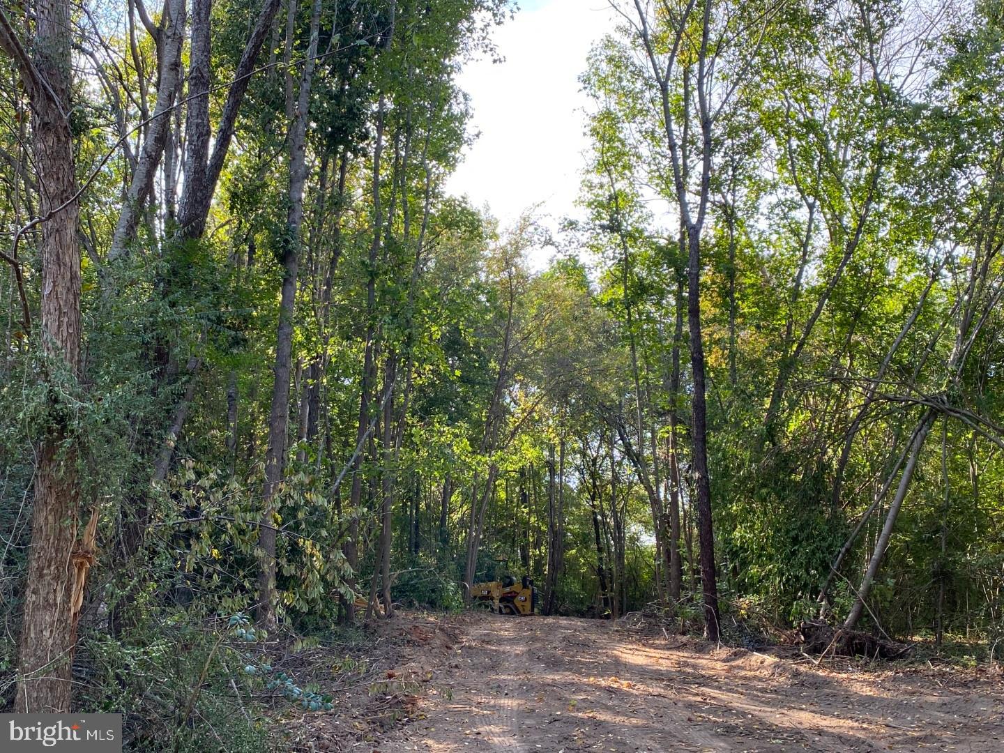 46 Christanna Hwy #10.87 Acres Property Photo 6