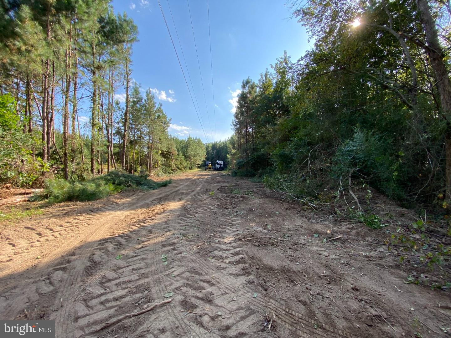 46 Christanna Hwy #10.87 Acres Property Photo 7