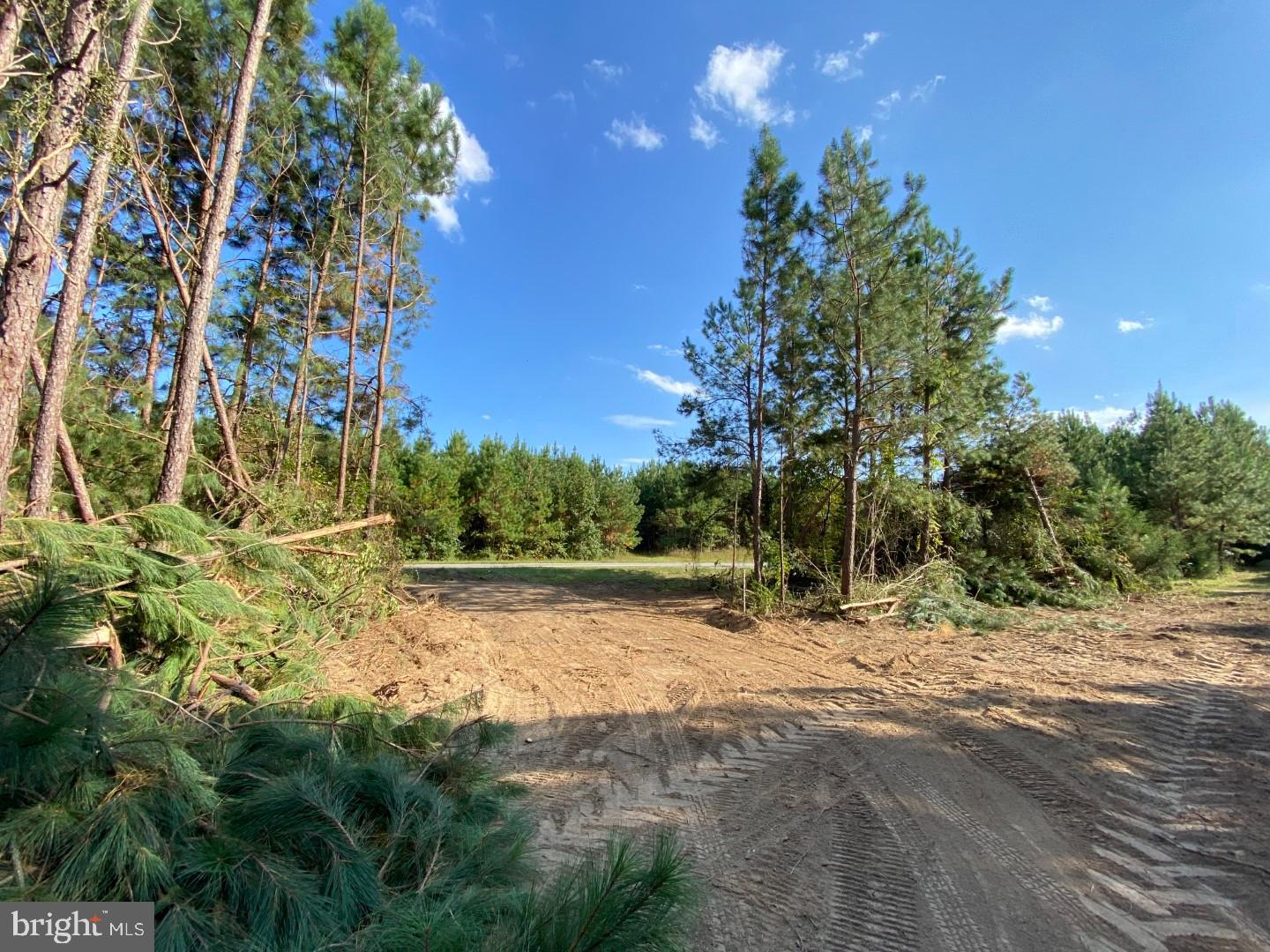 46 Christanna Hwy #10.87 Acres Property Photo 8