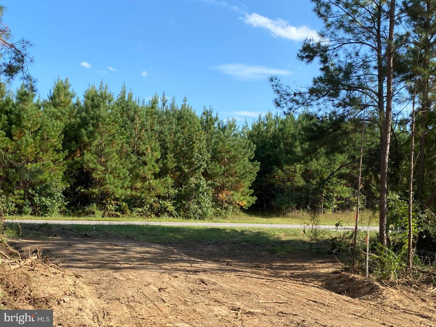 46 Christanna Hwy #10.87 Acres Property Photo 9