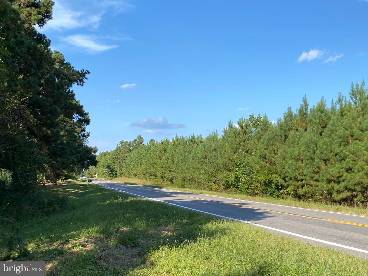 46 Christanna Hwy #10.87 Acres Property Photo 11