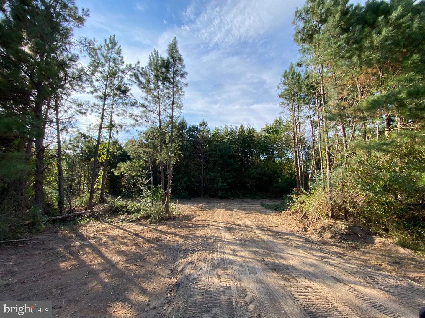 46 Christanna Hwy #10.87 Acres Property Photo 12
