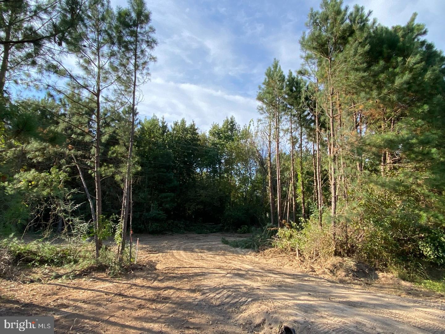 46 Christanna Hwy #10.87 Acres Property Photo 13