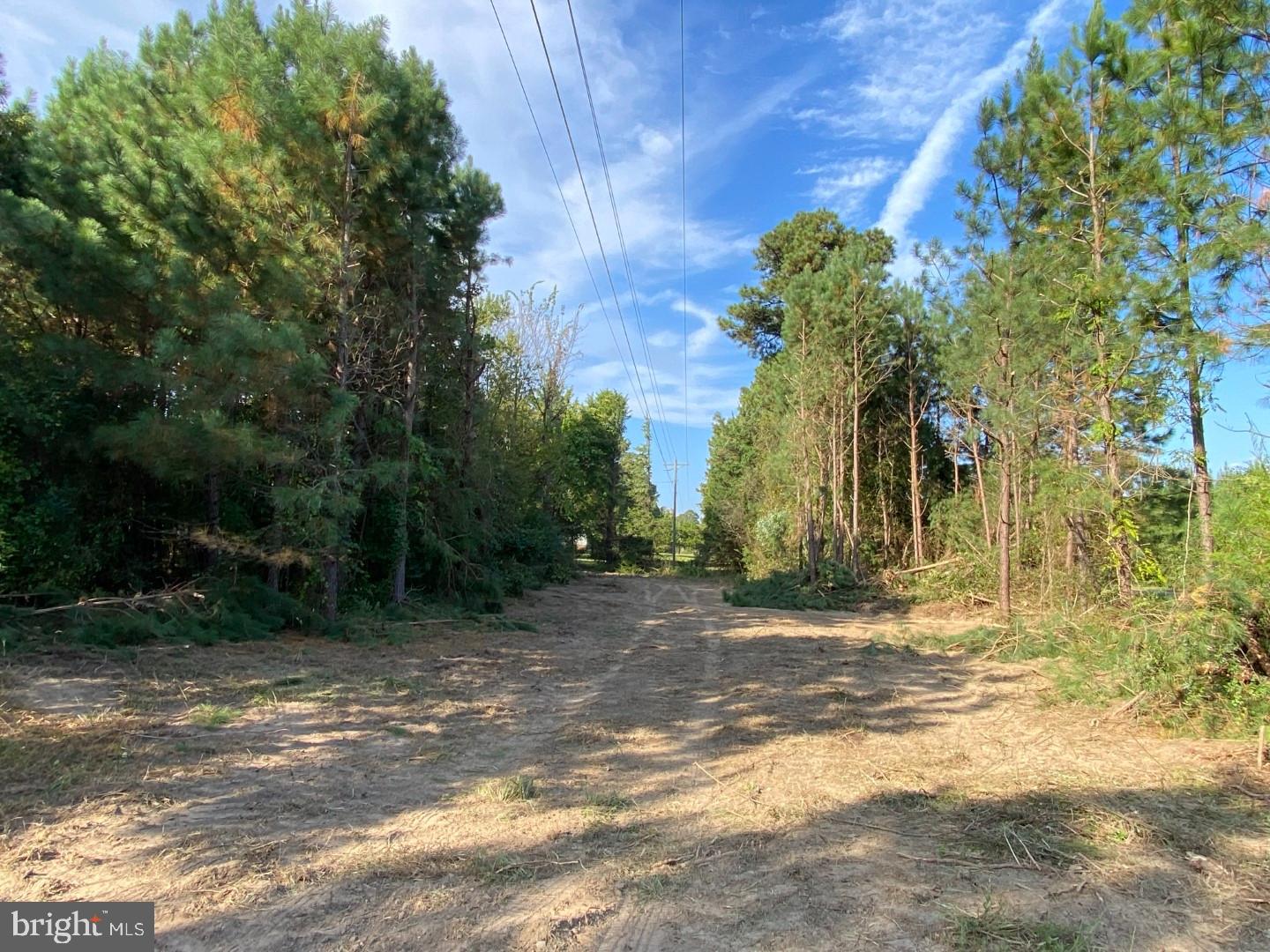 46 Christanna Hwy #10.87 Acres Property Photo 14