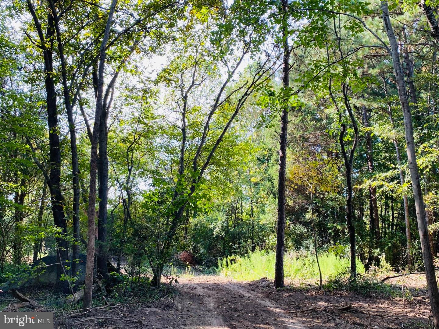46 Christanna Hwy #10.87 Acres Property Photo 15