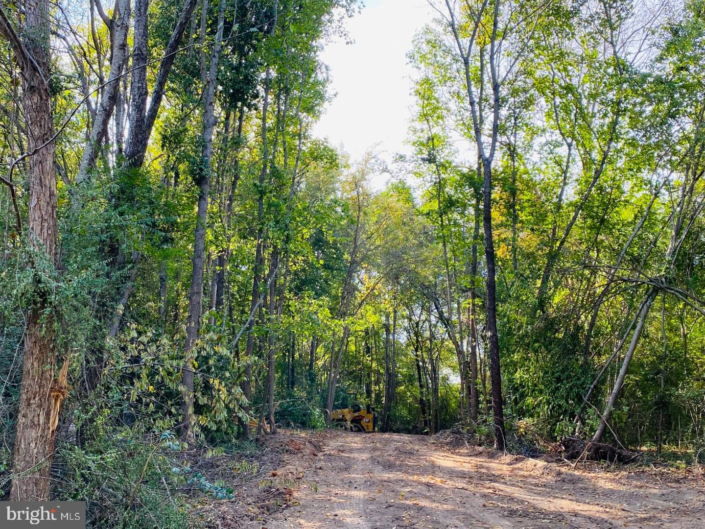 46 Christanna Hwy #10.87 Acres Property Photo 16