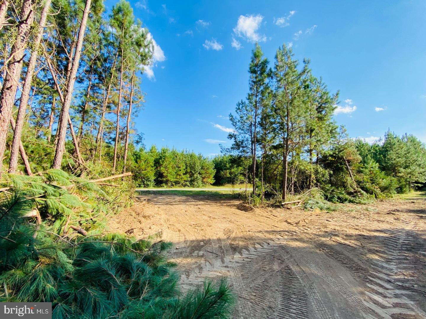 46 Christanna Hwy #10.87 Acres Property Photo 17