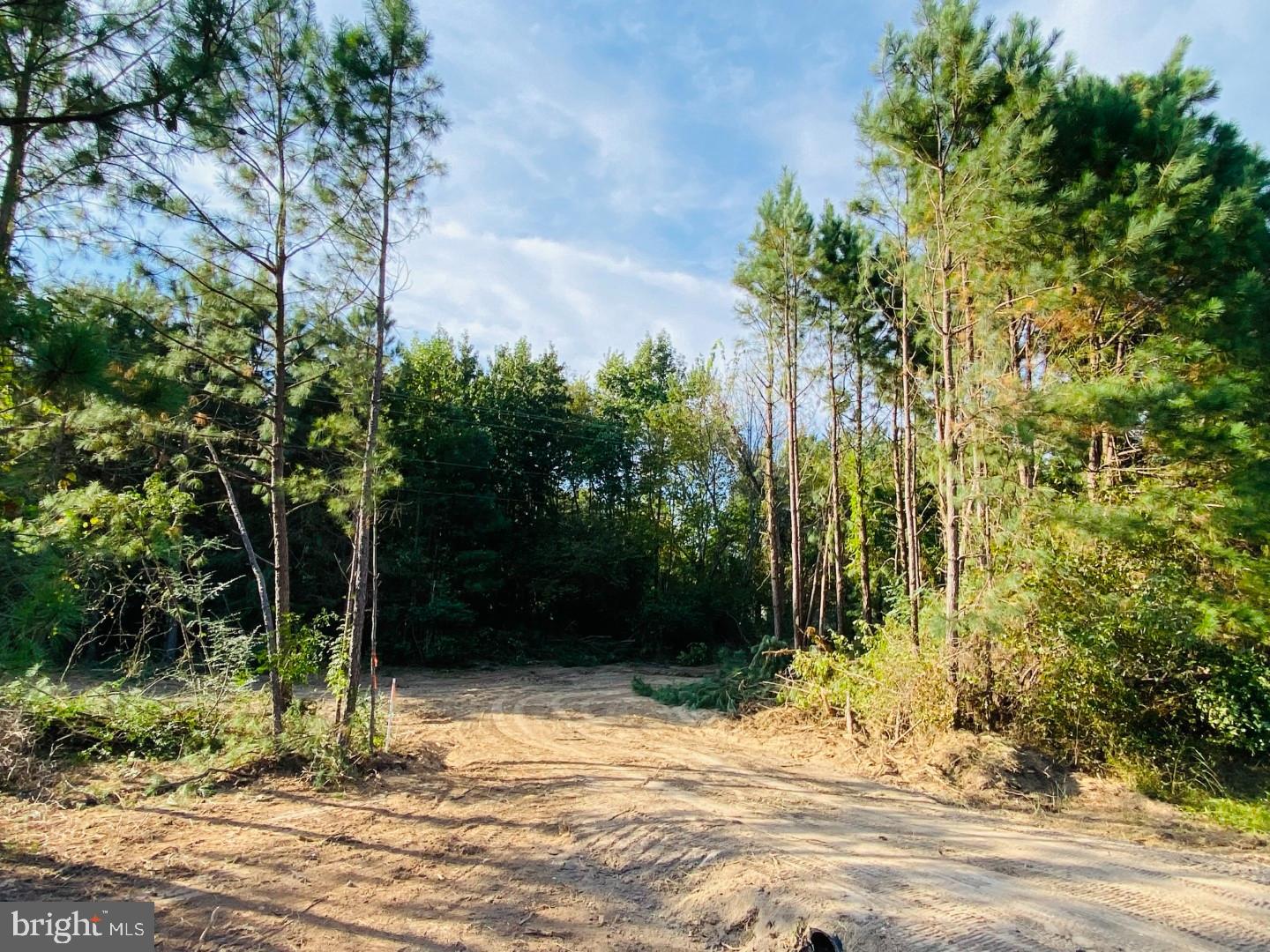 46 Christanna Hwy #10.87 Acres Property Photo 18