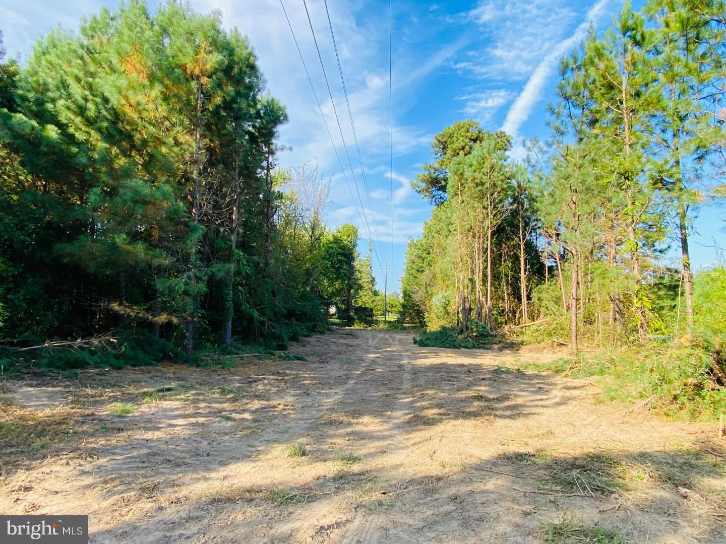 46 Christanna Hwy #10.87 Acres Property Photo 19